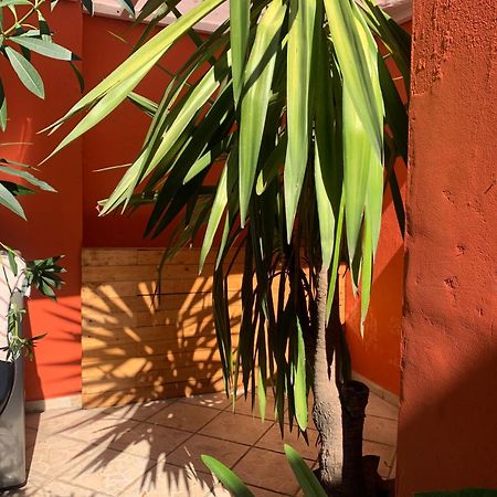 Villa Coyoacan Ciudad de México Exterior foto