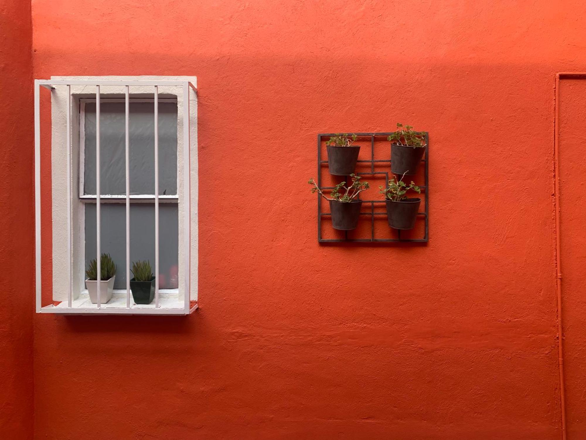 Villa Coyoacan Ciudad de México Exterior foto