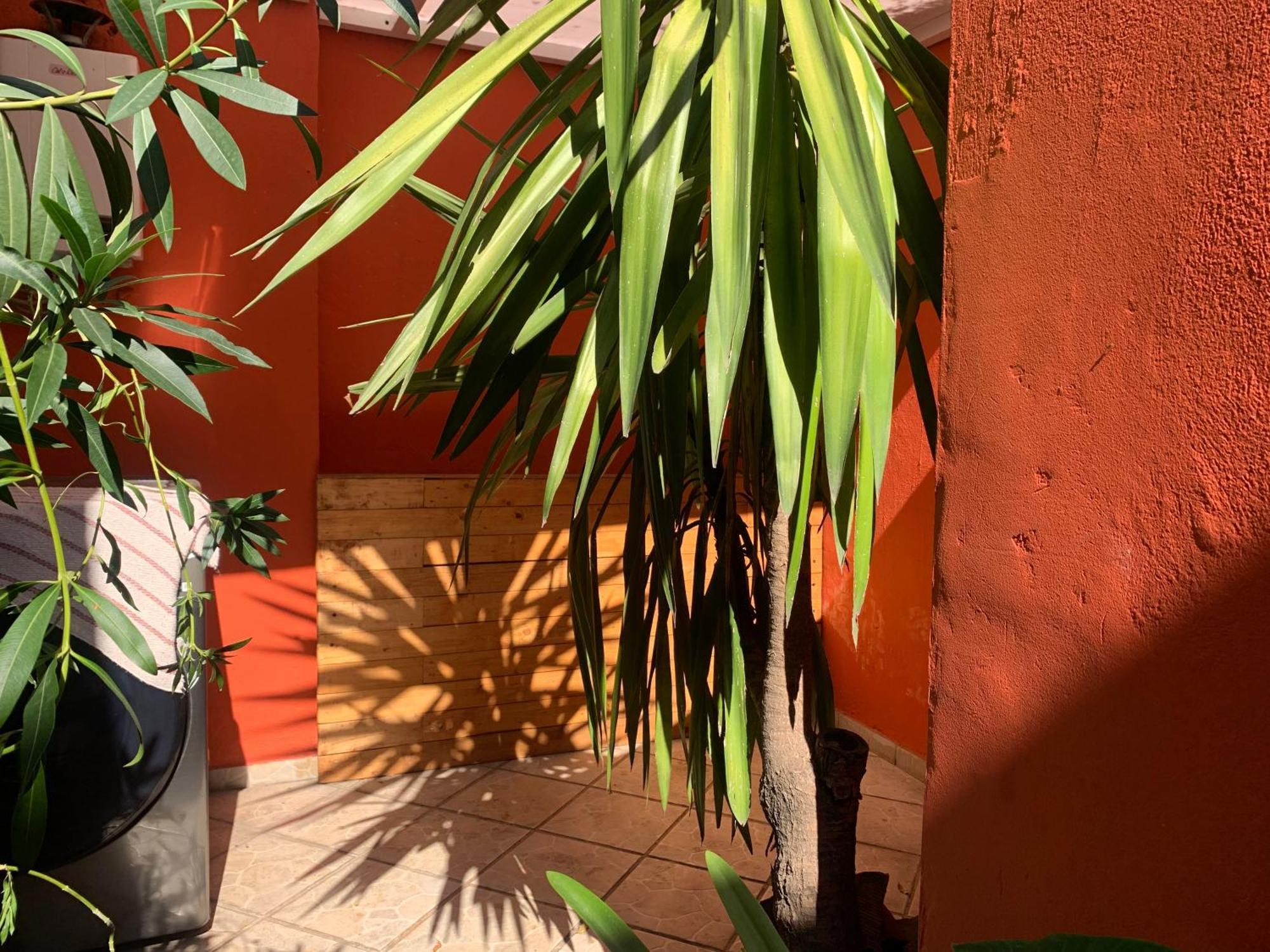 Villa Coyoacan Ciudad de México Exterior foto