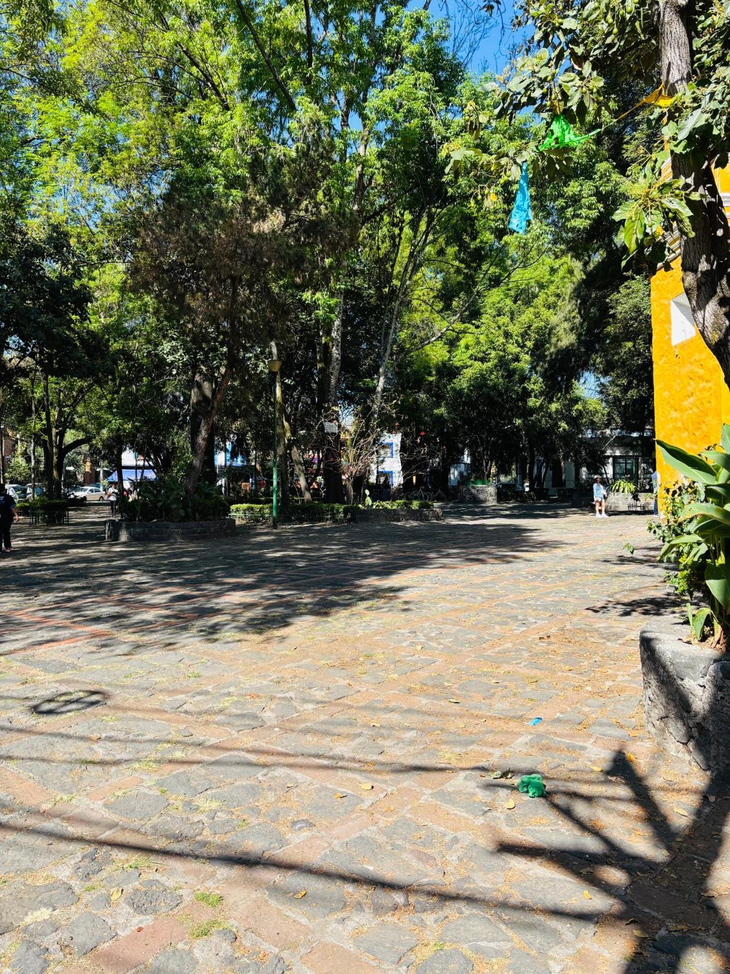 Villa Coyoacan Ciudad de México Exterior foto